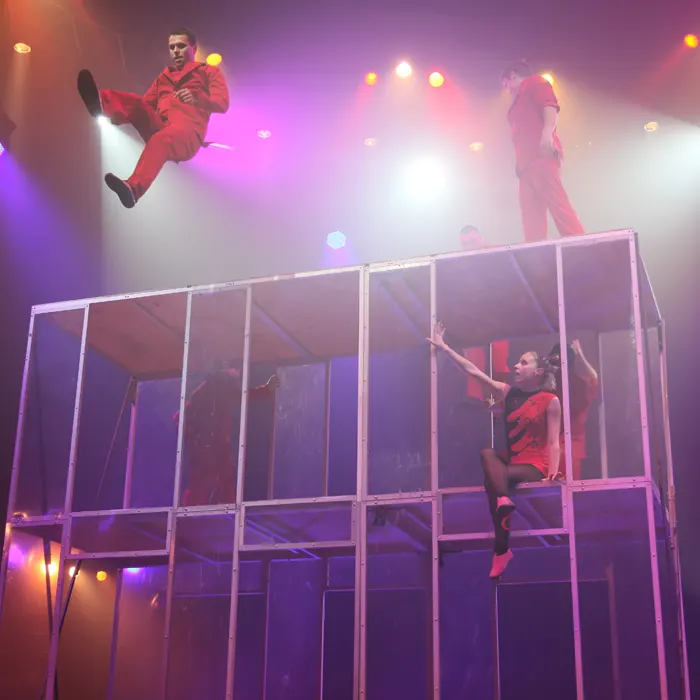 spectacle-cirque
